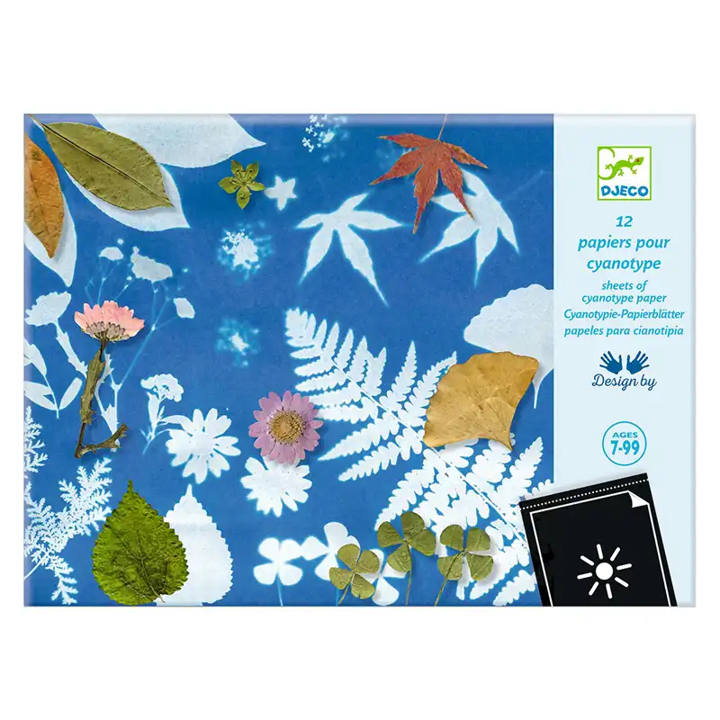 Cyanotype Paper Art Kit 'Leaves' 09338