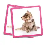 Maxi Memory: Pets