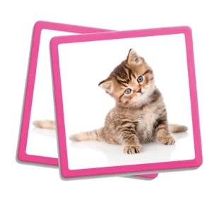 Maxi Memory: Pets