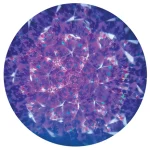 Column Kaleidoscope 15 cm Cosmos 'Submarines' 23065