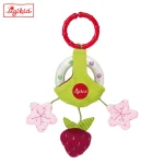 Raspberry Rattle
