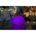 Night Light with Remote Control White Whale 520068