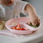 Silicone Suction Plate Pink BN1482-02