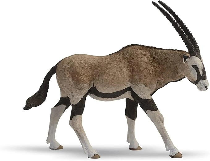 Violet Wild Oryx Antelope