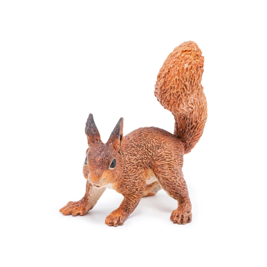 Squirrel