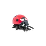 Ladybird