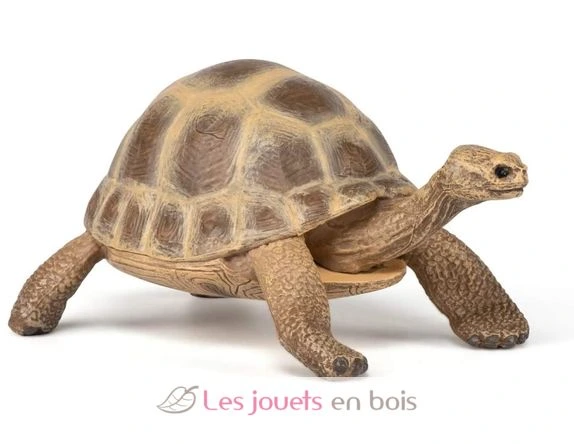 Hermann's tortoise Figurine