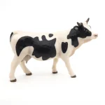 Black and white cow