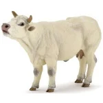 Charolais cow mooing