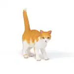 Red cat