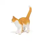 Red cat PAPO54031